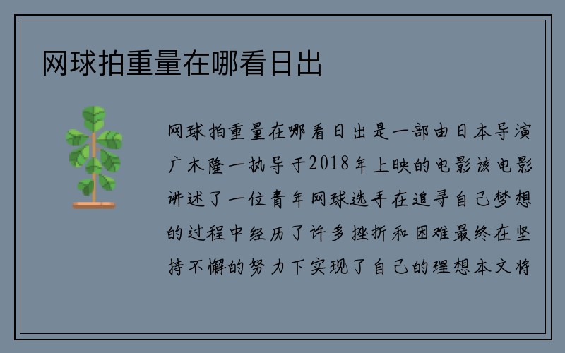 网球拍重量在哪看日出