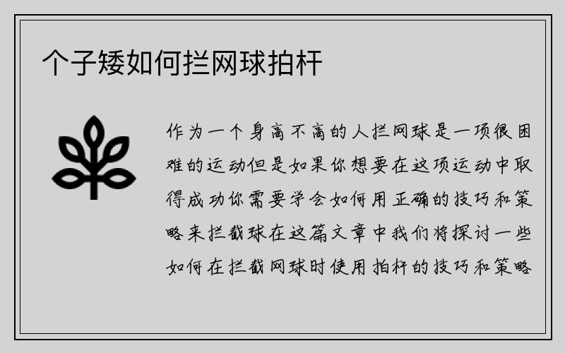 个子矮如何拦网球拍杆