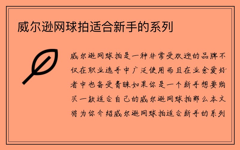 威尔逊网球拍适合新手的系列