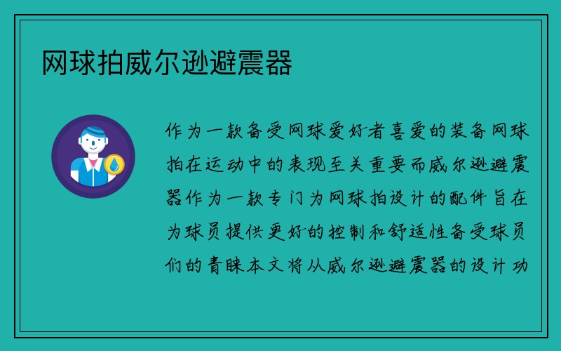 网球拍威尔逊避震器