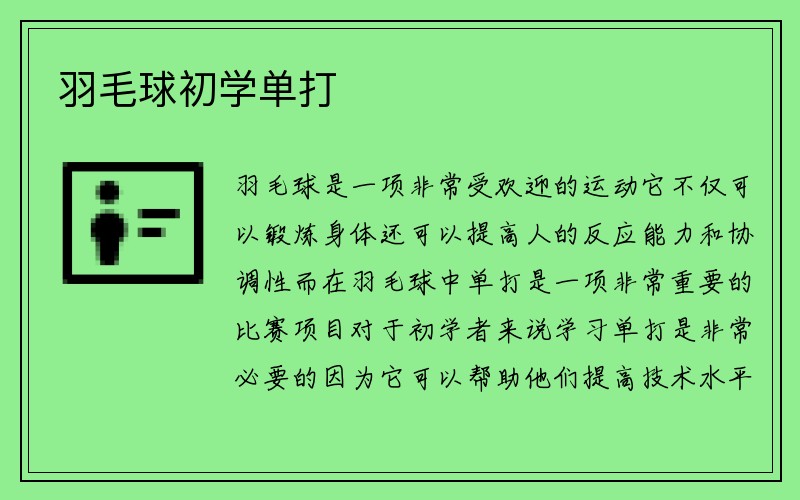 羽毛球初学单打