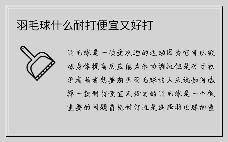 羽毛球什么耐打便宜又好打